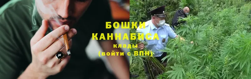 дарк нет телеграм  Тайга  Конопля Ganja 